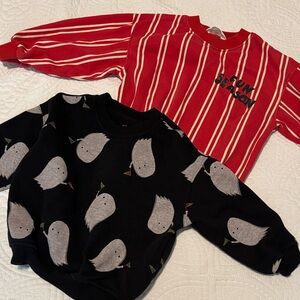 Zara Red Striped and Black Bird Kids Sweatshirt Set